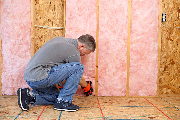 Best Residential Insulation in Richardson, TX