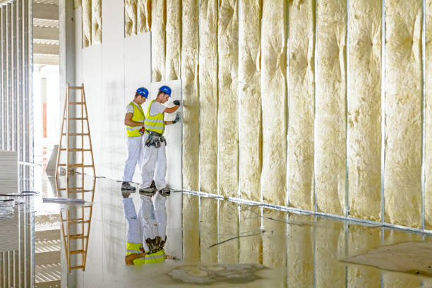 Best Insulation Installation Services in Richardson, TX